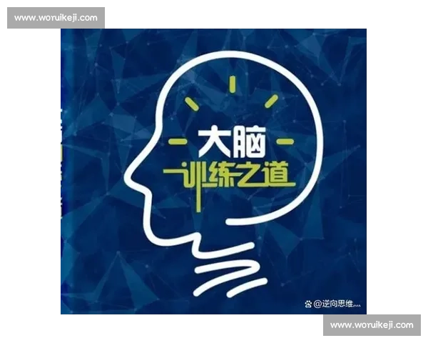 高效应对复杂情境的快速决策策略与方法探索